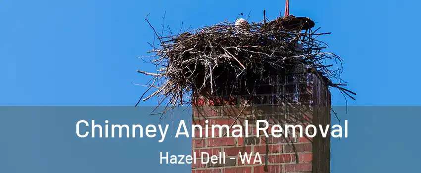  Chimney Animal Removal Hazel Dell - WA