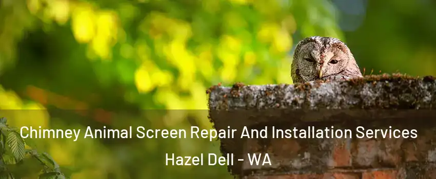  Chimney Animal Screen Repair And Installation Services Hazel Dell - WA