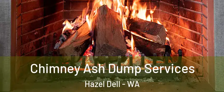  Chimney Ash Dump Services Hazel Dell - WA