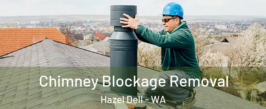  Chimney Blockage Removal Hazel Dell - WA