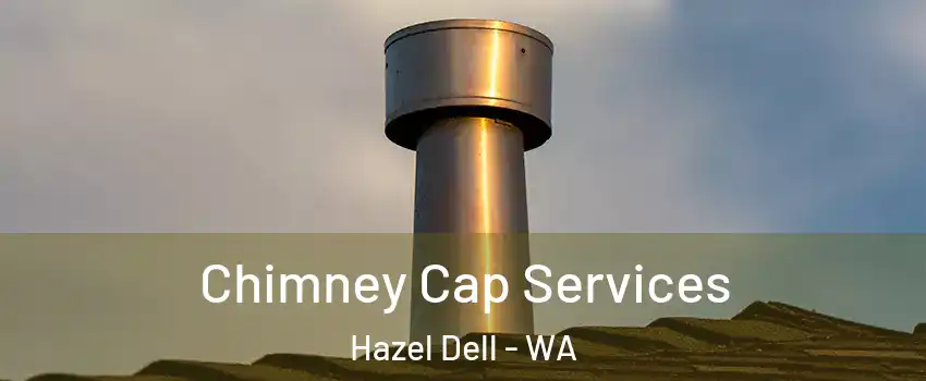  Chimney Cap Services Hazel Dell - WA