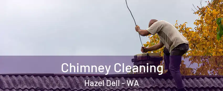  Chimney Cleaning Hazel Dell - WA
