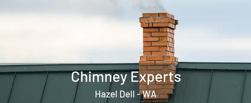  Chimney Experts Hazel Dell - WA