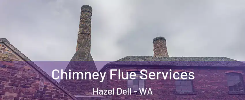 Chimney Flue Services Hazel Dell - WA