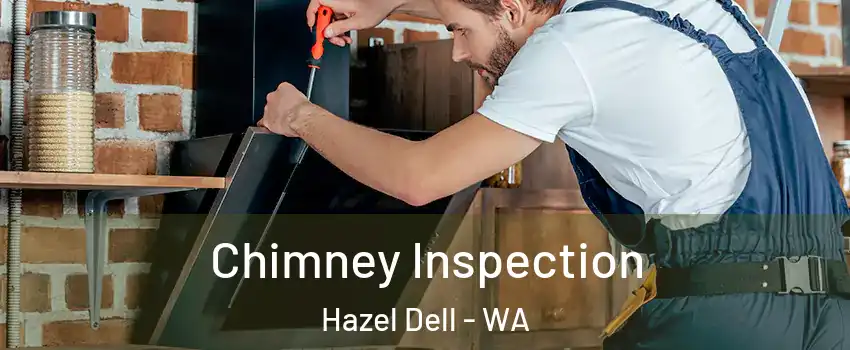  Chimney Inspection Hazel Dell - WA