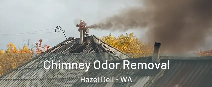  Chimney Odor Removal Hazel Dell - WA
