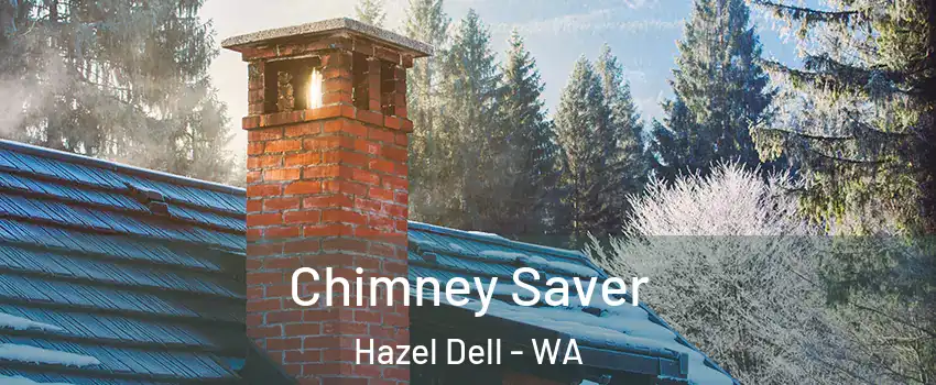  Chimney Saver Hazel Dell - WA