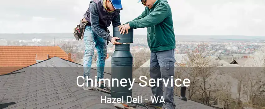  Chimney Service Hazel Dell - WA