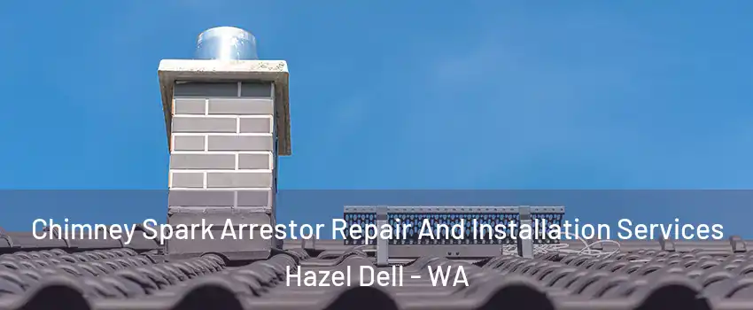  Chimney Spark Arrestor Repair And Installation Services Hazel Dell - WA