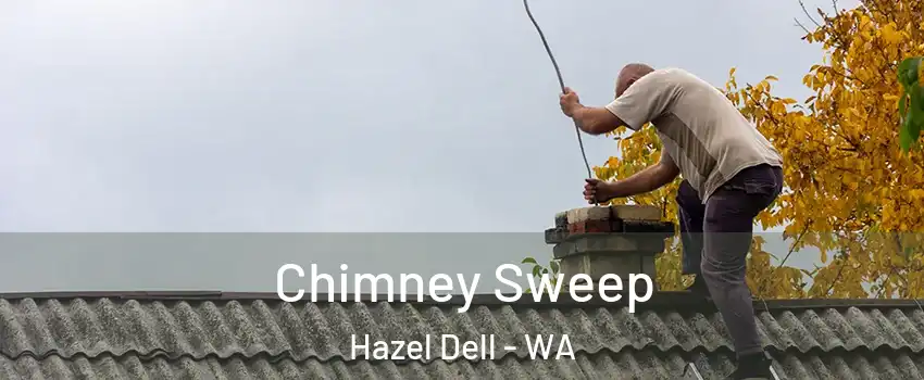  Chimney Sweep Hazel Dell - WA
