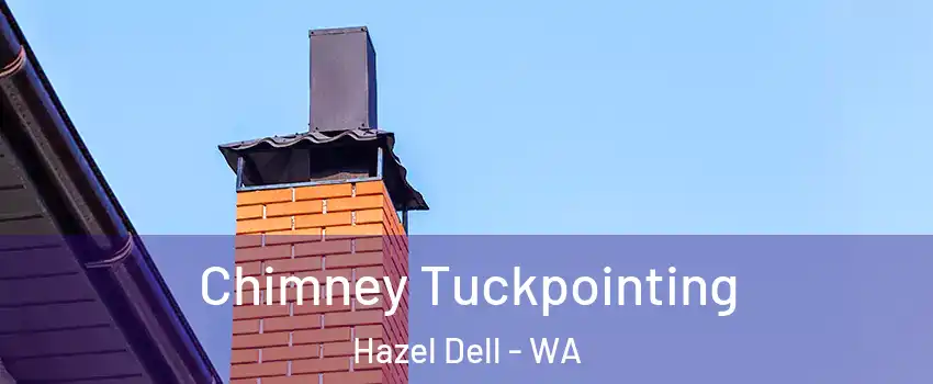  Chimney Tuckpointing Hazel Dell - WA