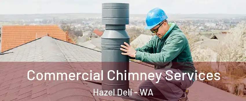  Commercial Chimney Services Hazel Dell - WA