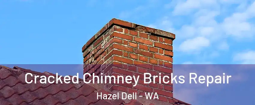  Cracked Chimney Bricks Repair Hazel Dell - WA