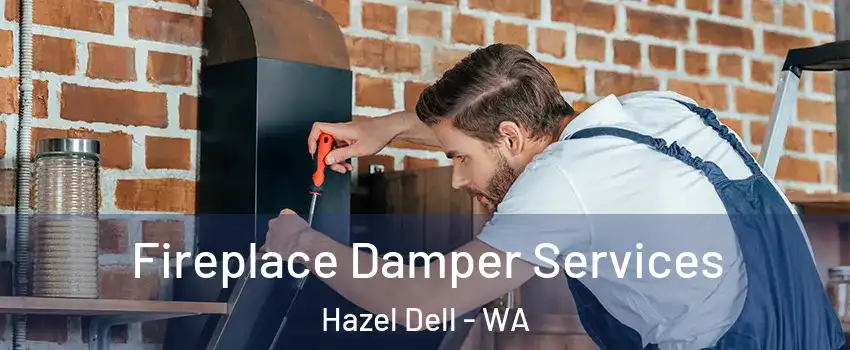  Fireplace Damper Services Hazel Dell - WA
