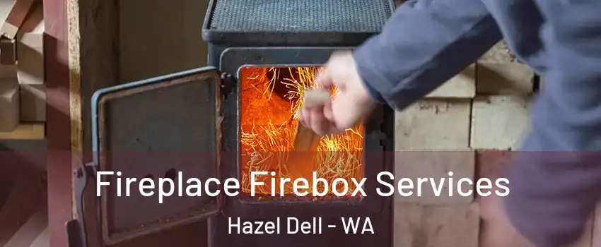  Fireplace Firebox Services Hazel Dell - WA