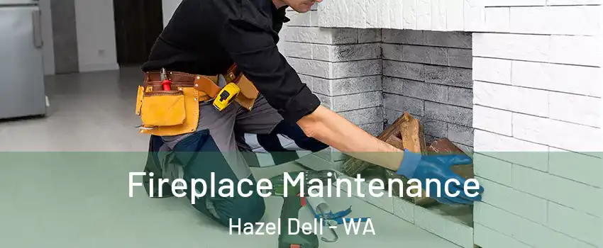  Fireplace Maintenance Hazel Dell - WA