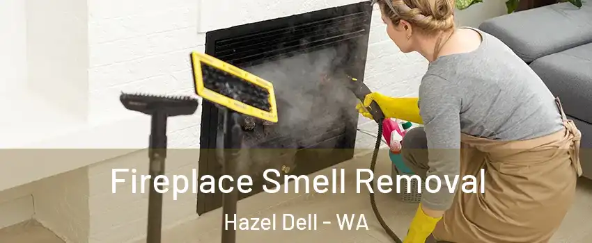  Fireplace Smell Removal Hazel Dell - WA