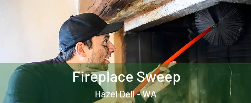  Fireplace Sweep Hazel Dell - WA