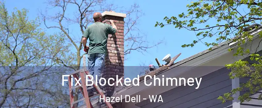  Fix Blocked Chimney Hazel Dell - WA