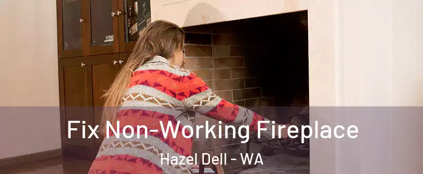  Fix Non-Working Fireplace Hazel Dell - WA