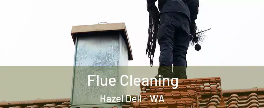  Flue Cleaning Hazel Dell - WA
