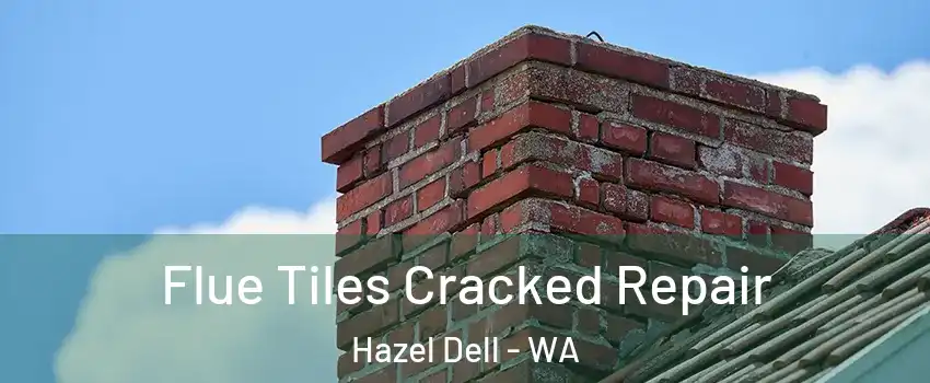  Flue Tiles Cracked Repair Hazel Dell - WA