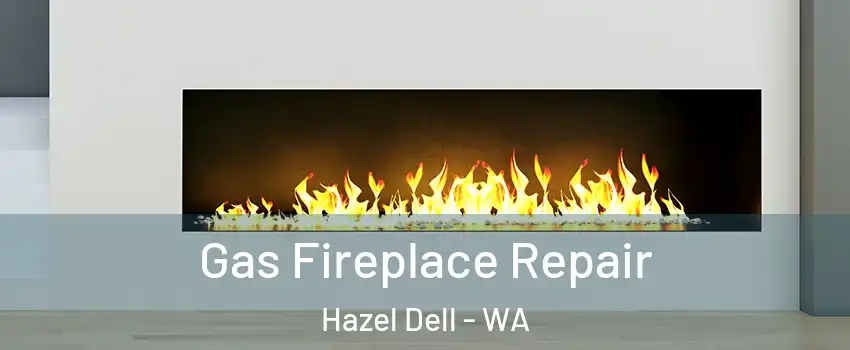  Gas Fireplace Repair Hazel Dell - WA