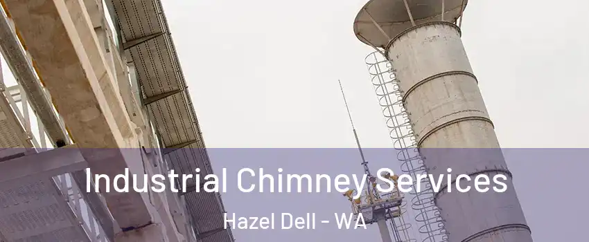  Industrial Chimney Services Hazel Dell - WA
