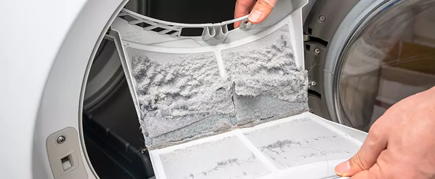 Best Dryer Lint Removal Company in Hazel Dell, Washington