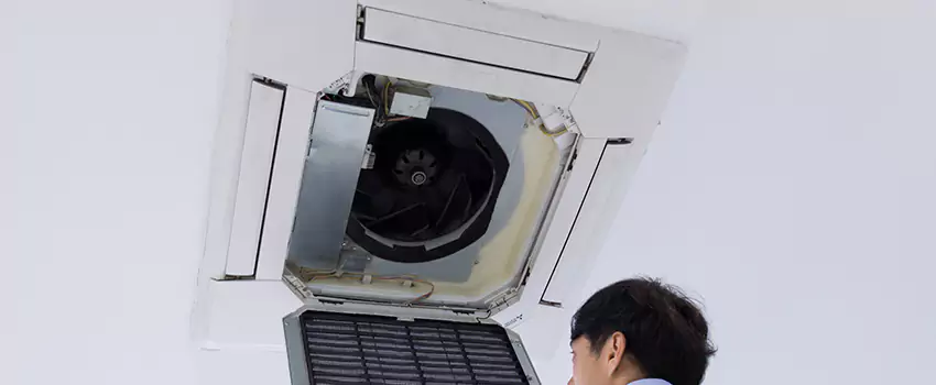 Benefits of Professional Air Duct Cleaning in Hazel Dell, Washington