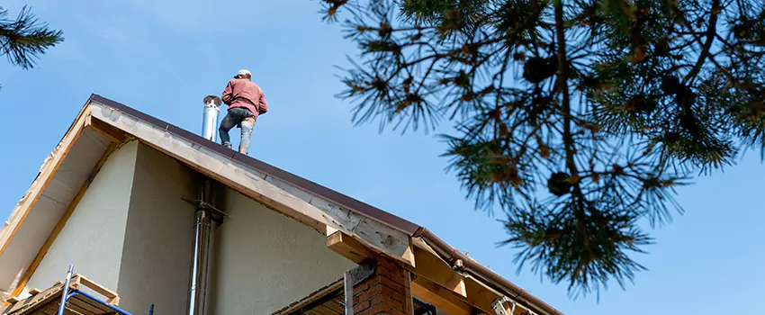 Birds Removal Contractors from Chimney in Hazel Dell, WA