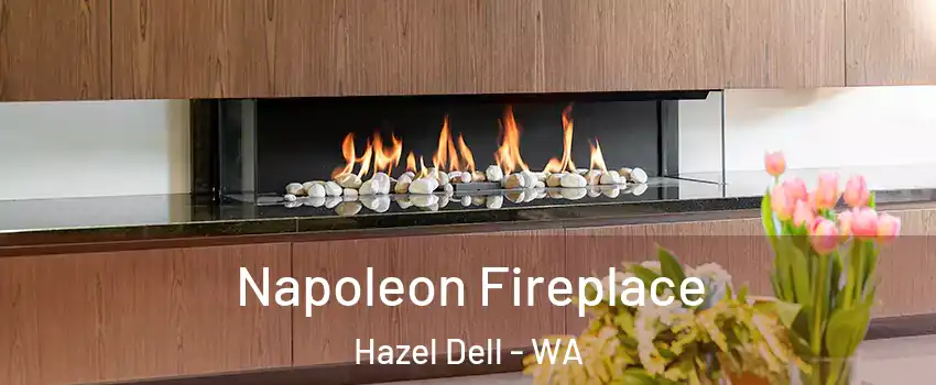  Napoleon Fireplace Hazel Dell - WA