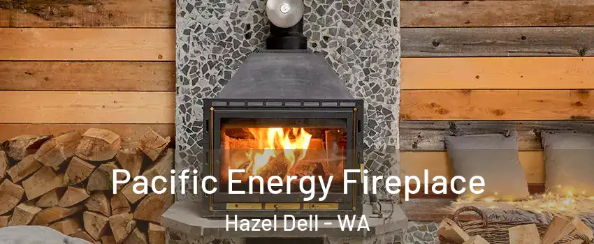 Pacific Energy Fireplace Hazel Dell - WA