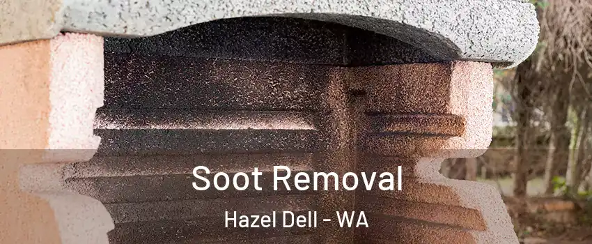 Soot Removal Hazel Dell - WA
