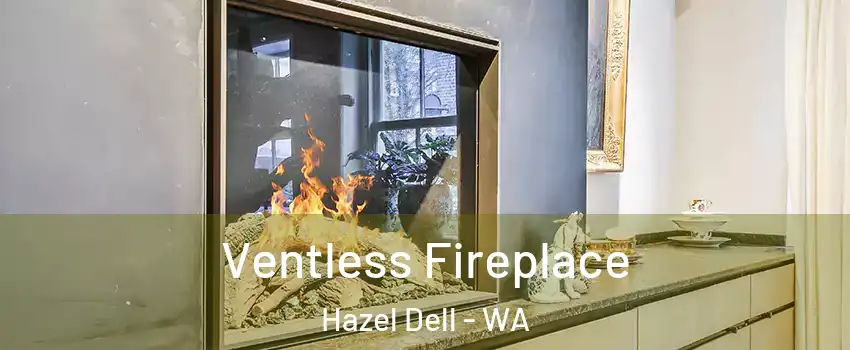  Ventless Fireplace Hazel Dell - WA