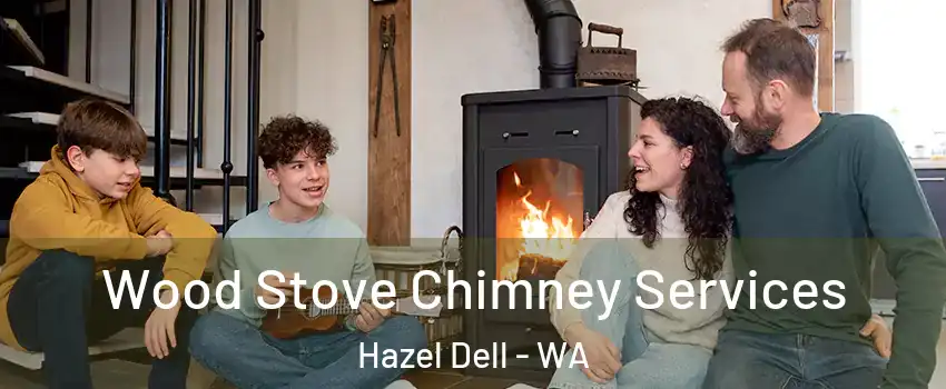  Wood Stove Chimney Services Hazel Dell - WA