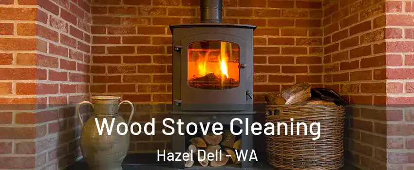  Wood Stove Cleaning Hazel Dell - WA